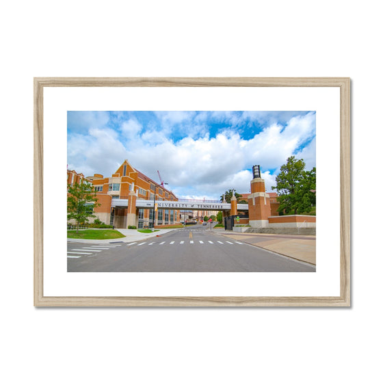 University of TN - Bridge to The Hill Framed & Mounted Print